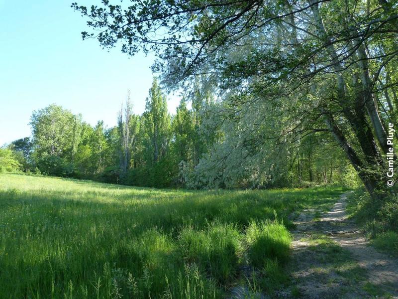 Balade en plaine
