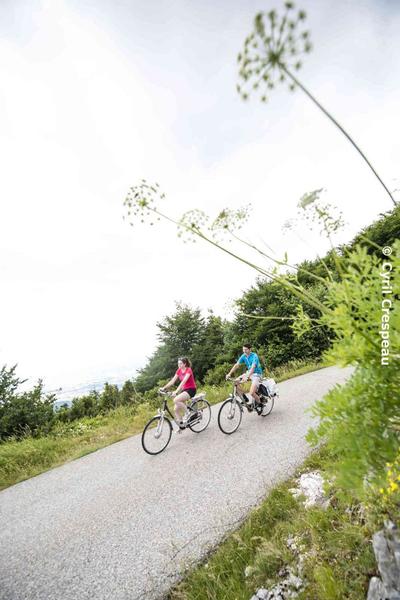 Les charbonniers du Vercors