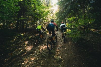 Exploration forestière en VTT