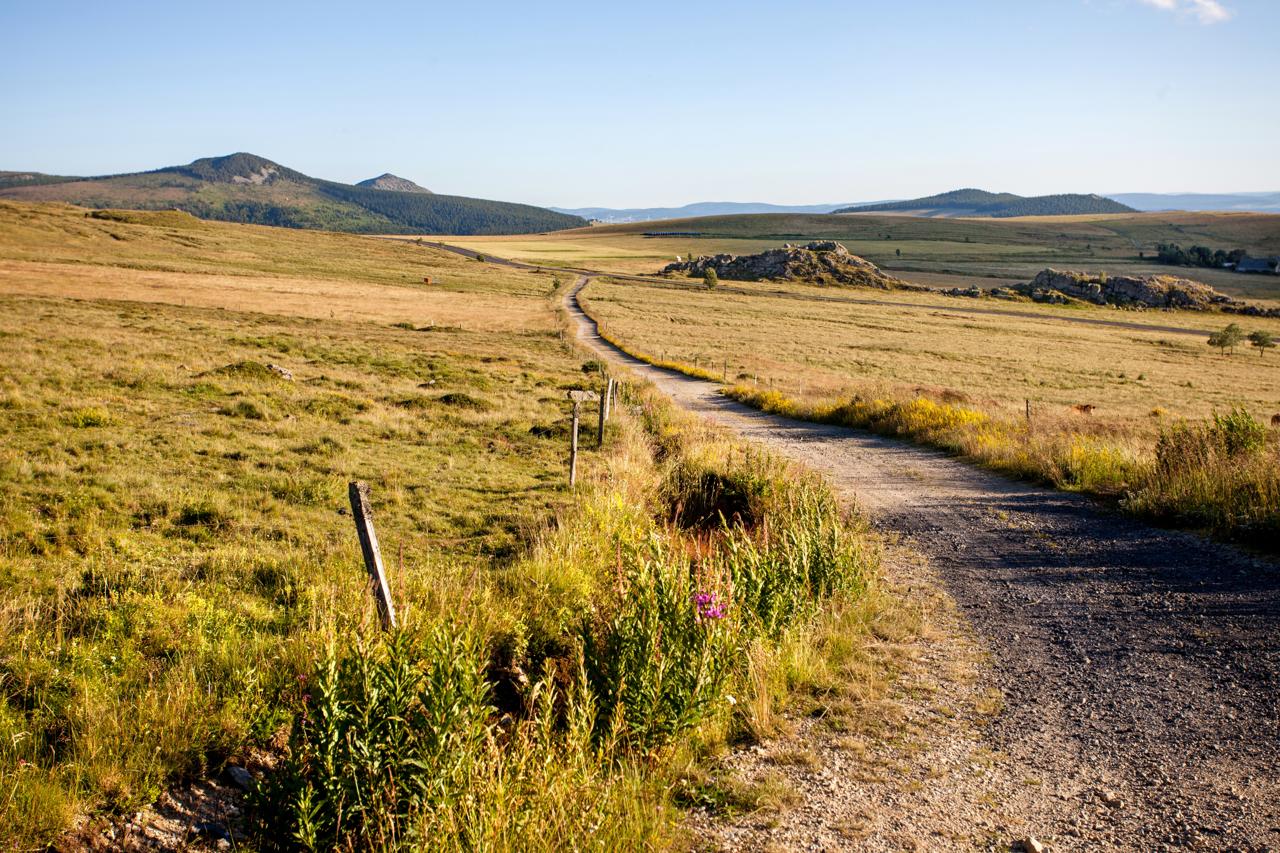 Sur les chemins du Mézenc