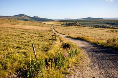 Sur les chemins du Mézenc