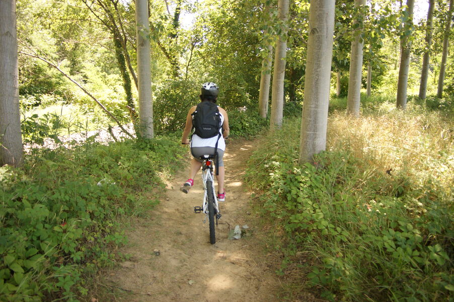 Rando VTT
