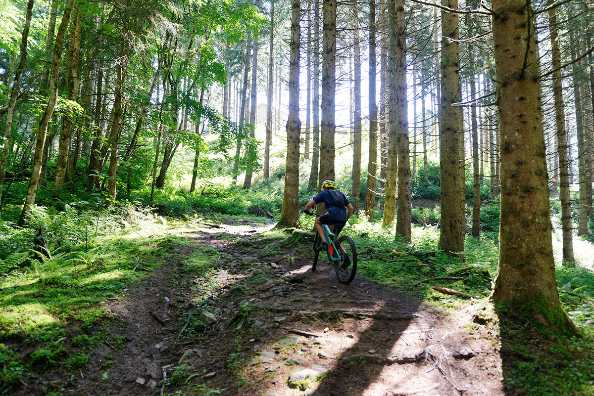VTT en sous-bois