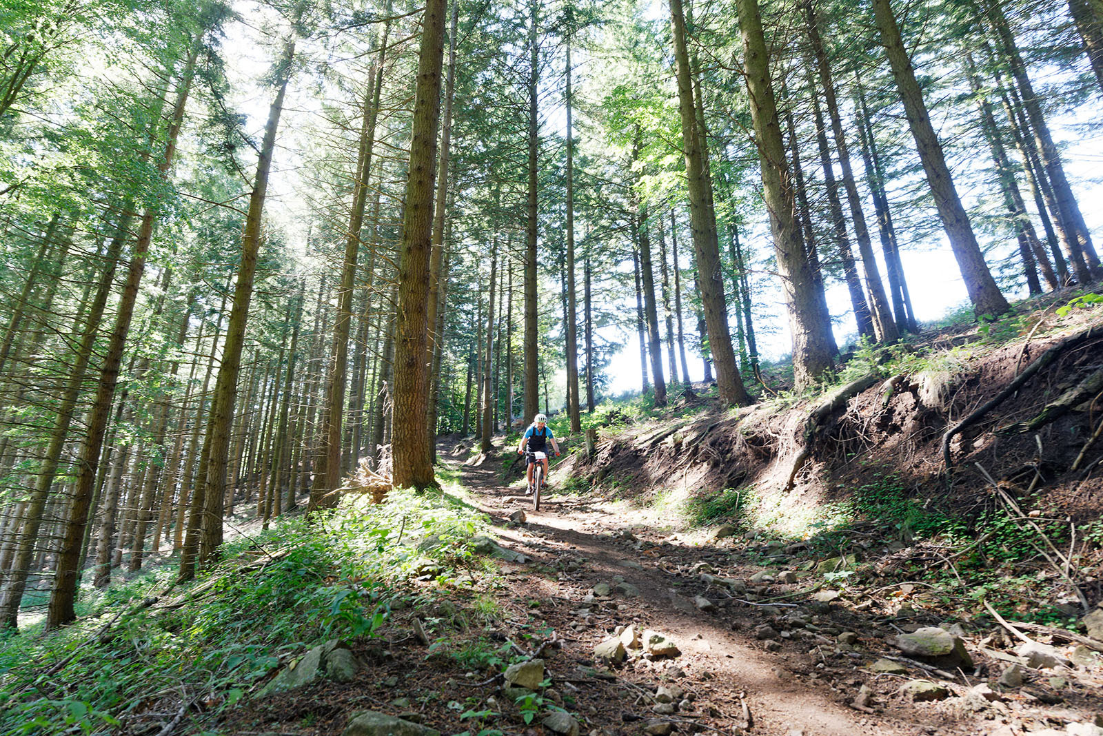 Descente en sous-bois