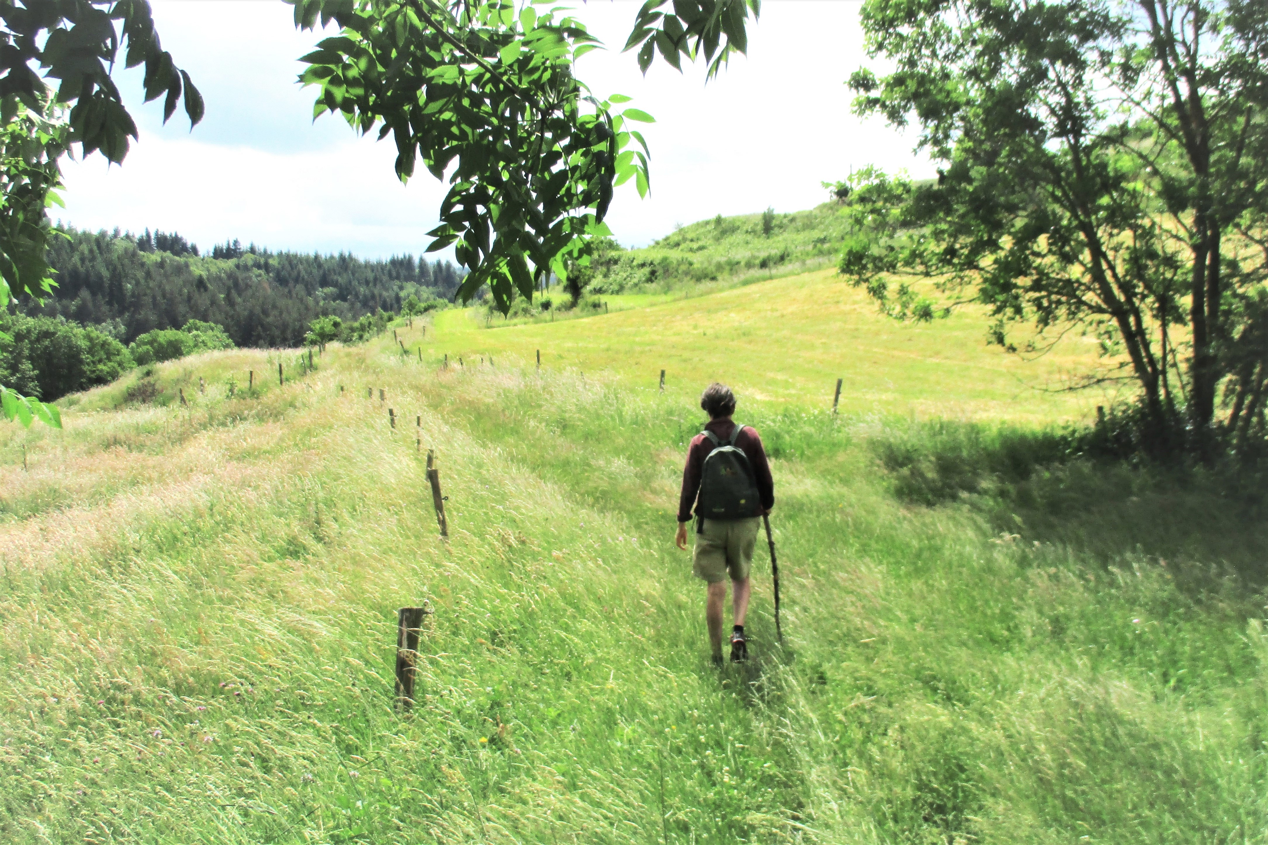 Sentier proche de Taboul