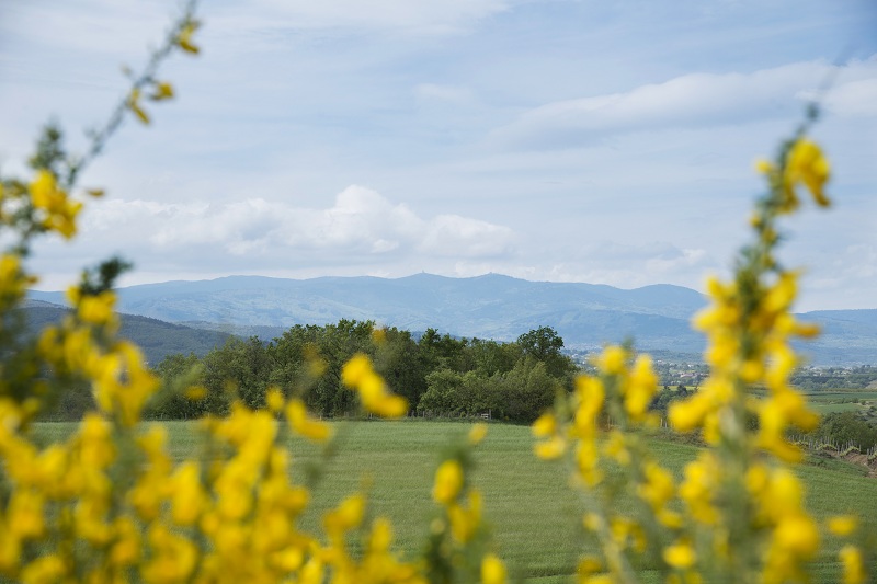 Paysages randonnée château de Bayard