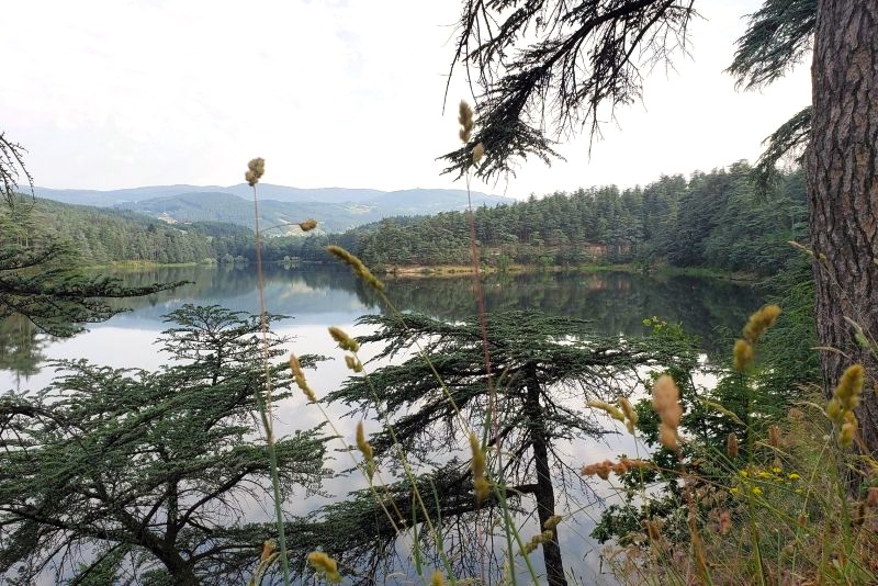 Vue sur le lac du Ternay