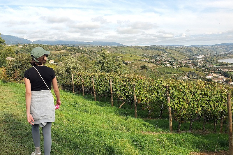 Vue sur la Vallée du Rhône depuis les hauteurs de Limony