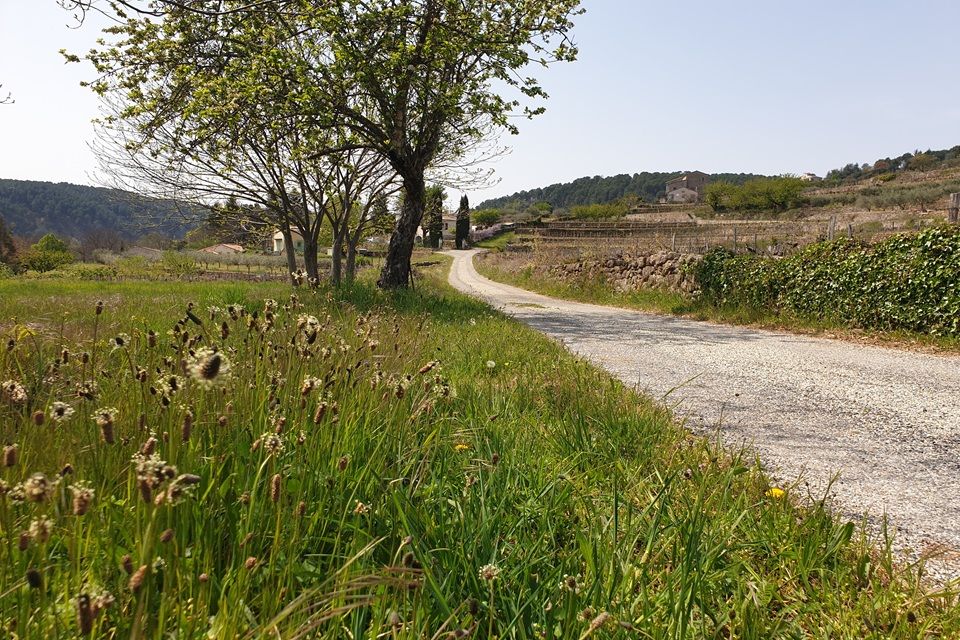 Sur les chemins