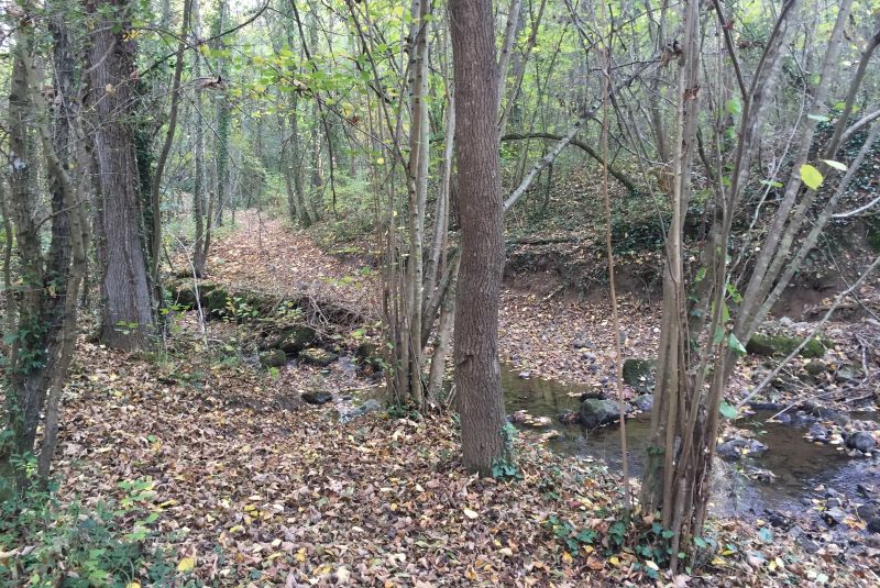 Le ruisseau de l'Ecouta