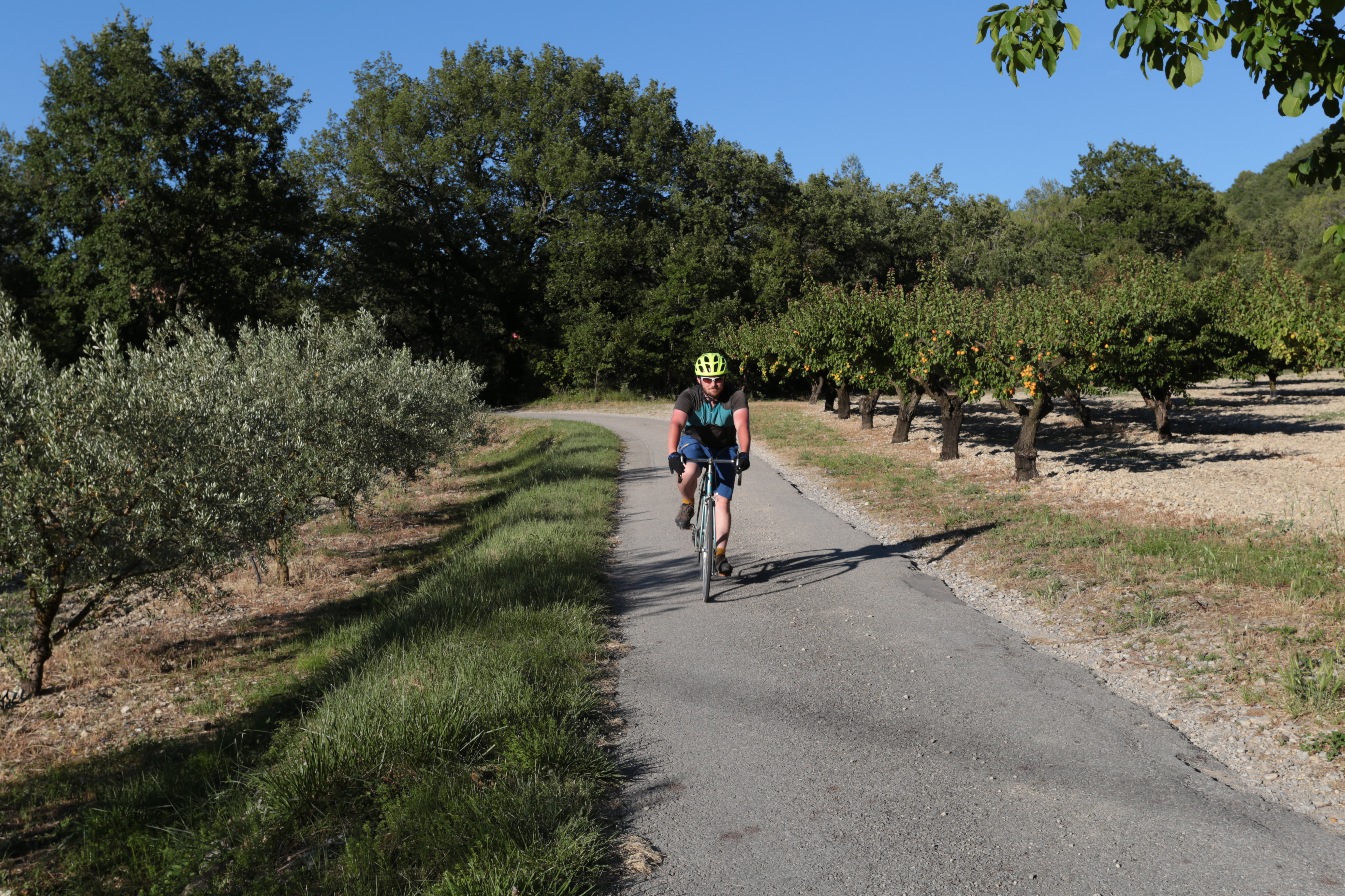Entre les oliviers et les abricotiers, sur le chemin du Crapon