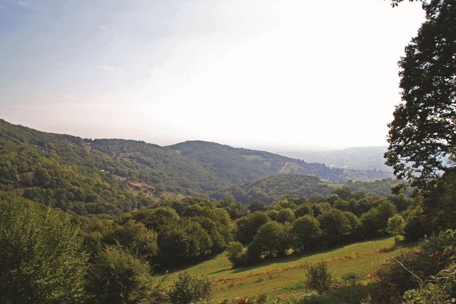 Paysage