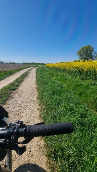 Circuit VTT-VTC n°11 (bleu) - Prairie de Jayat - Chartreuse de Montmerle