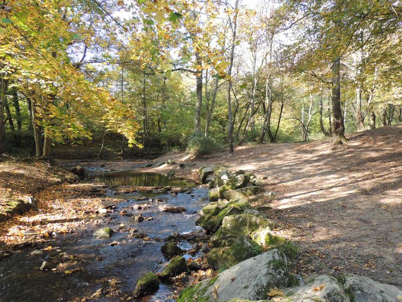 Chemin