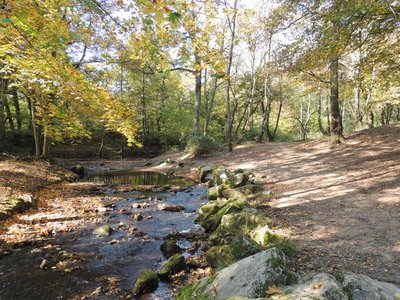 Chemin