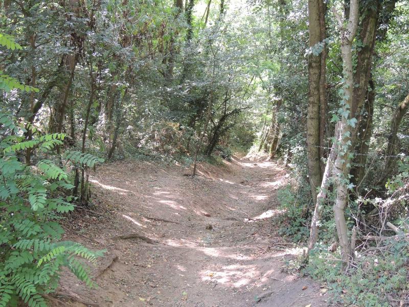 Chemin