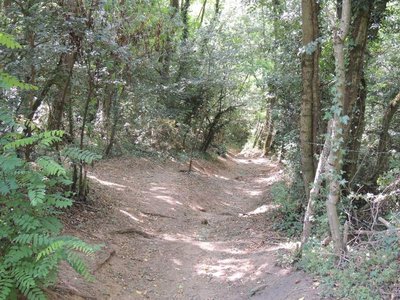 Chemin