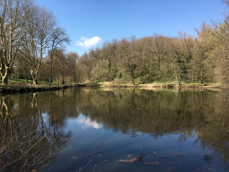 Étang du Boulard