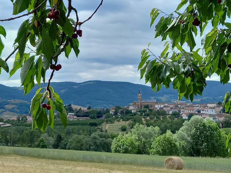 Vue sur le village depuis les vergers