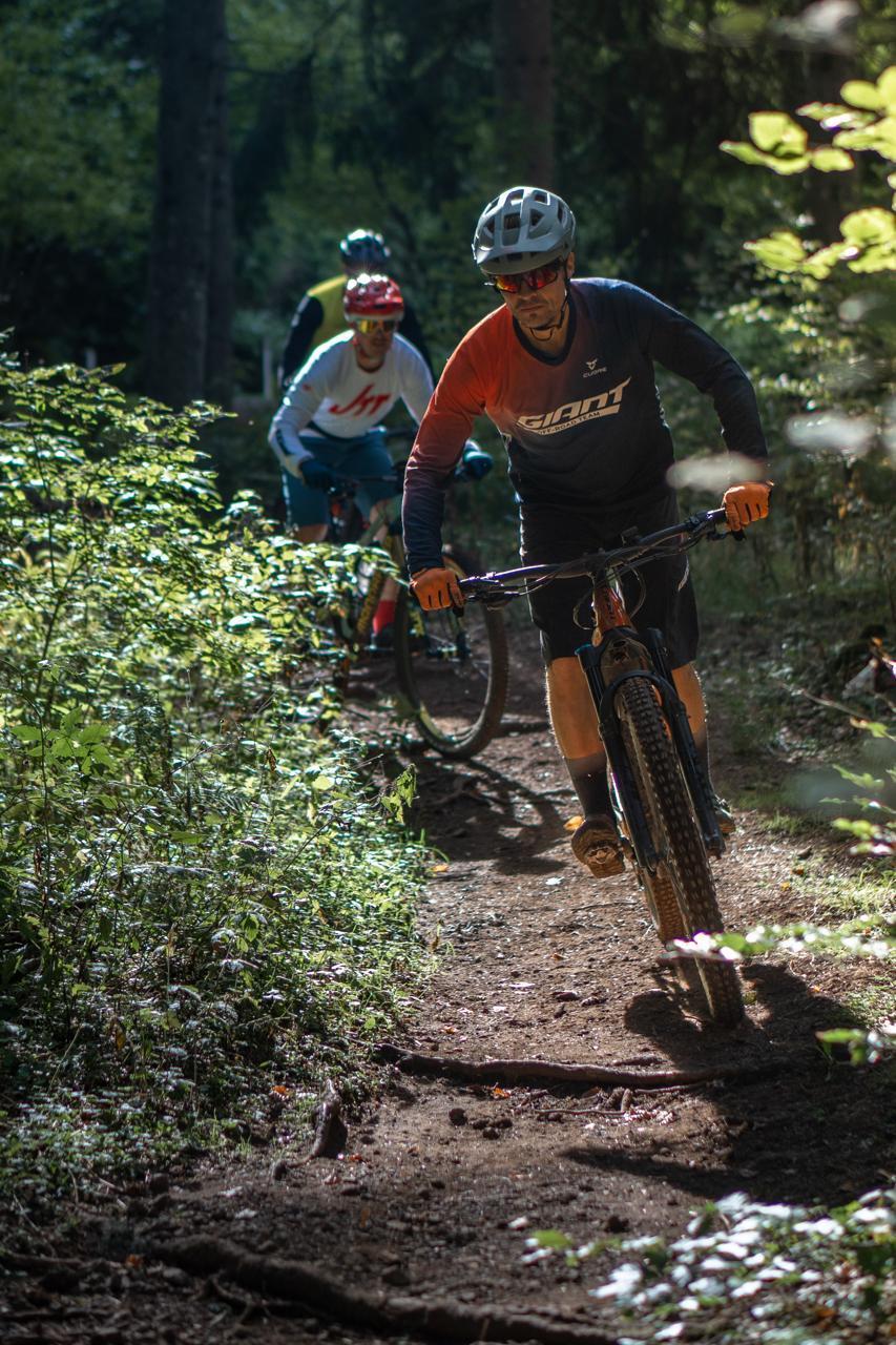 Évasion en VTT au cœur de la forêt