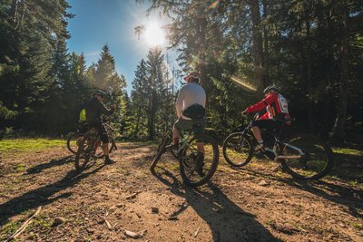 Expédition en VTT à travers les arbres