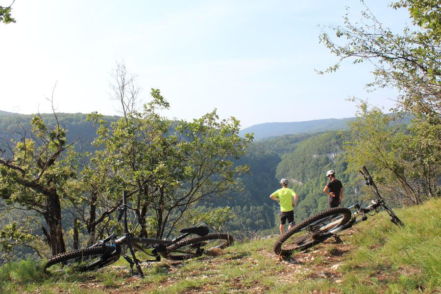 Parcours VTT 52 bleu - Les Crêtes de Charabotte - Espace FFC Ain Forestière