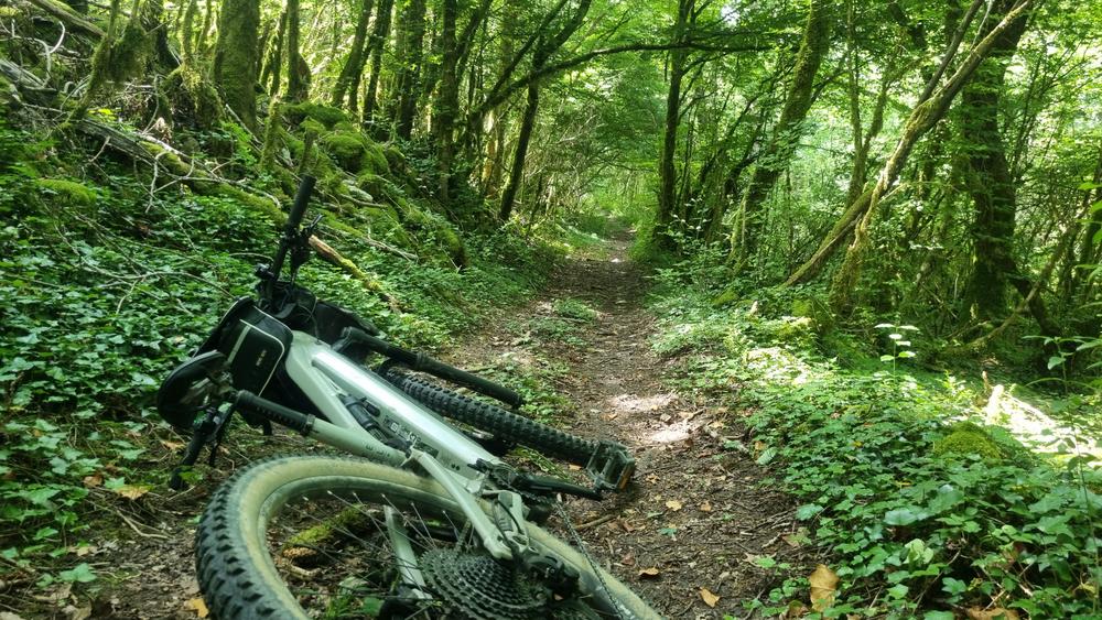 Circuit VTT n°7 (rouge) - Drom - Villeversure