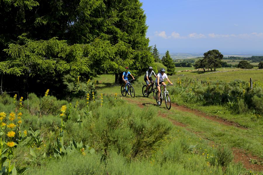 Circuit VTT autour de Saint-Flour