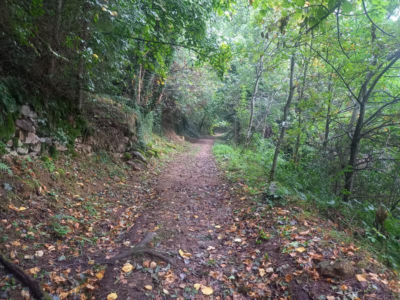 Circuit VAE bois de prunières
