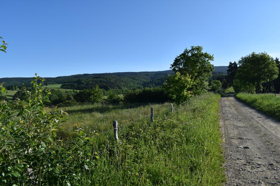 Le Ruisseau de Lafont