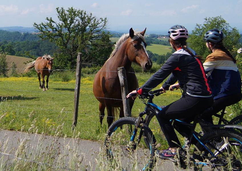 VTT