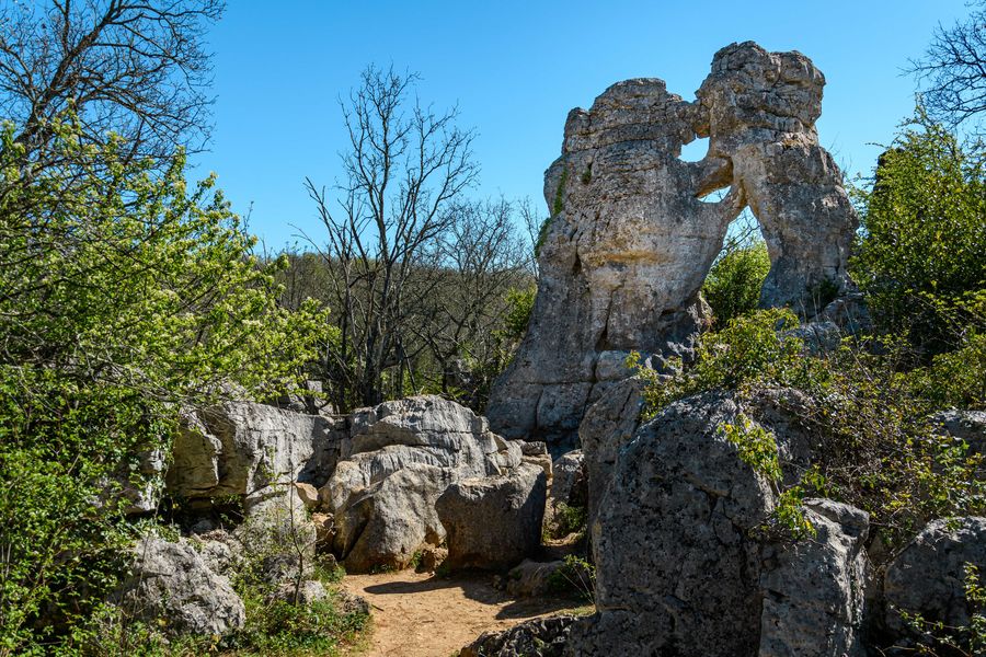 bois de Païolive l'ours et le lion
