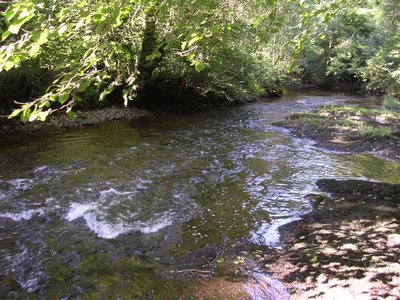 La Besbre au pont Clavel