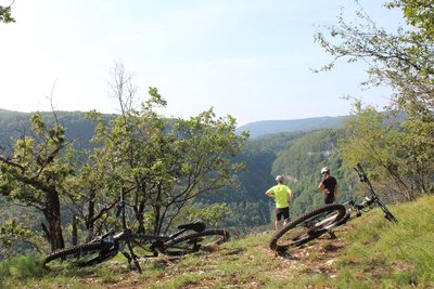 Parcours VTT 52 bleu - Les Crêtes de Charabotte - Espace FFC Ain Forestière