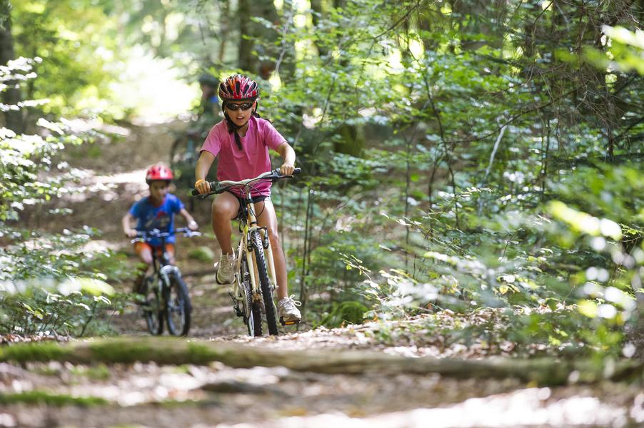 Parcours VTT 61 vert - La Familiale - Espace FFC Ain Forestière