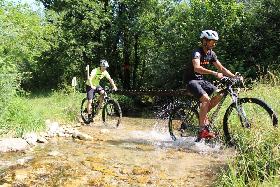 Parcours VTT 51 bleu - Marais de Vaux les Teillères - Espace FFC Ain Forestière