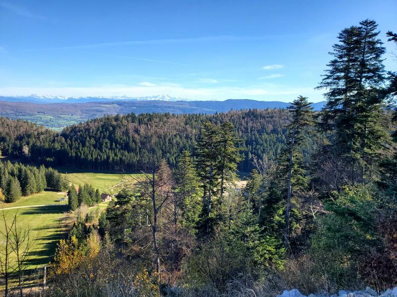 Parcours VTT 62 vert - Le Liaz d'Amont - Espace FFC Ain Forestière