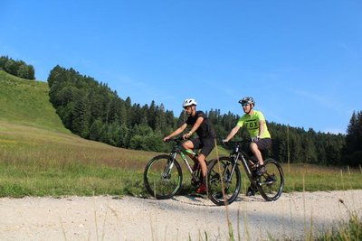 Parcours VTT 63 bleu - La Borne des 3 Cantons - Espace VTT Ain Forestière