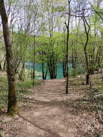 Vue depuis le sentier des berges du Rhône