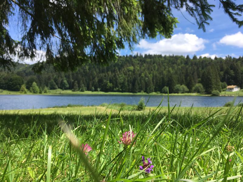 Parcours VTT 67 vert - Lac Genin et les hauts de Charix - Espace FFC Ain Forestière