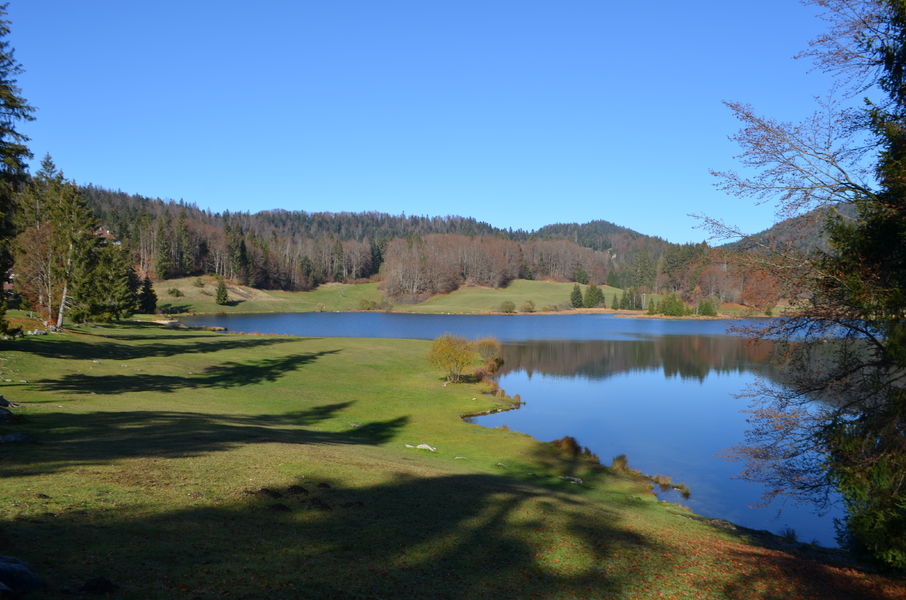 lac Genin