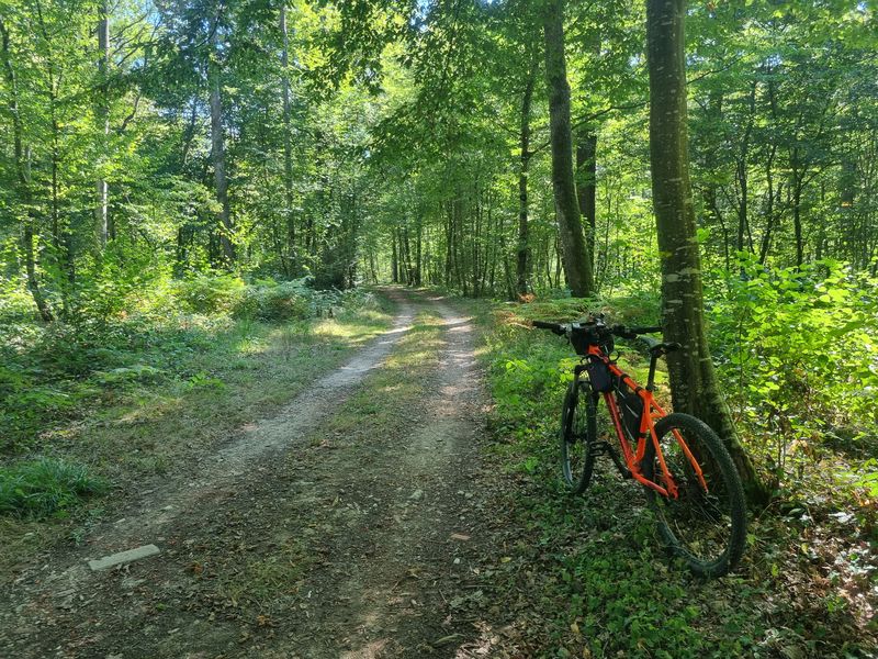 VTT-VTC en Bresse