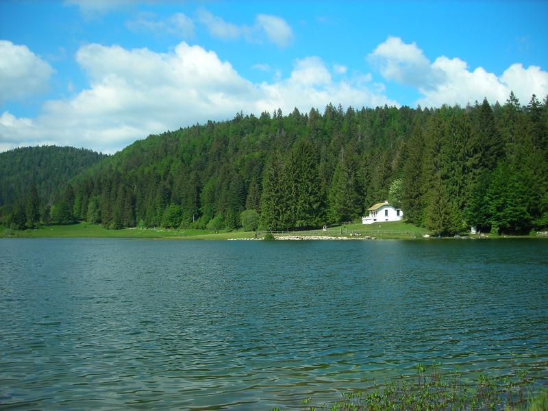 Parcours VTT 70 rouge - D'Oyonnax au lac Genin - Espace FFC Ain Forestière