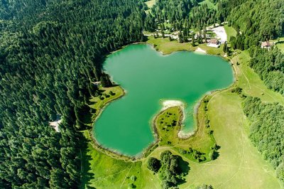 Parcours VTTAE 70 bleu - D'Oyonnax au lac Genin - Espace FFC Ain Forestière