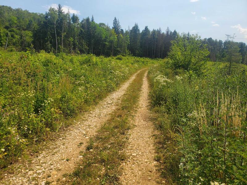 Parcours VTT 71 bleu - Vallée de l'Oignin la Belloire - Espace FFC Ain Forestière