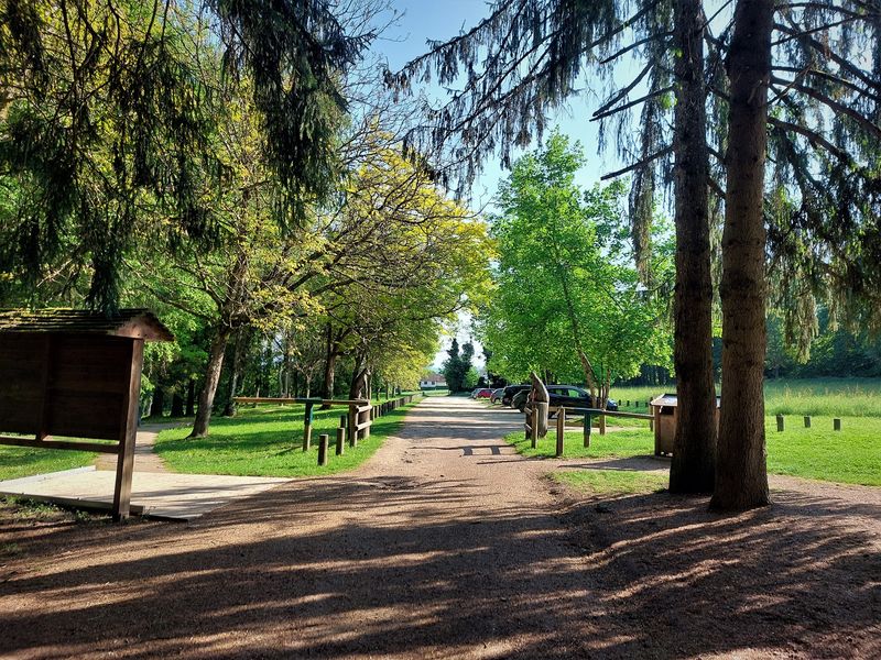 Forêt de Rothonne à Belley