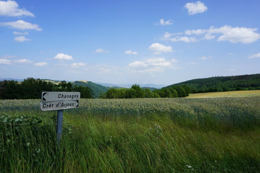 Sur la route vers le Mont Arjoux