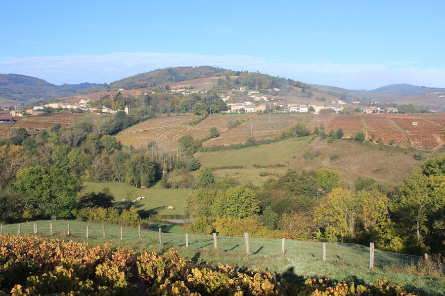 Les coteaux du Beaujolais