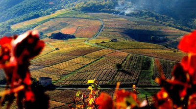 Le Mont Brouilly