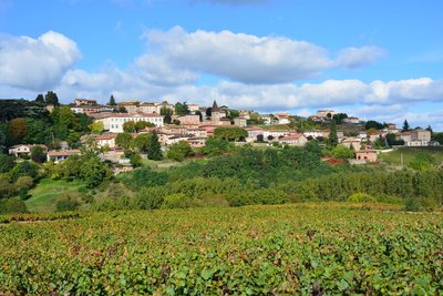 Village de Clochemerle